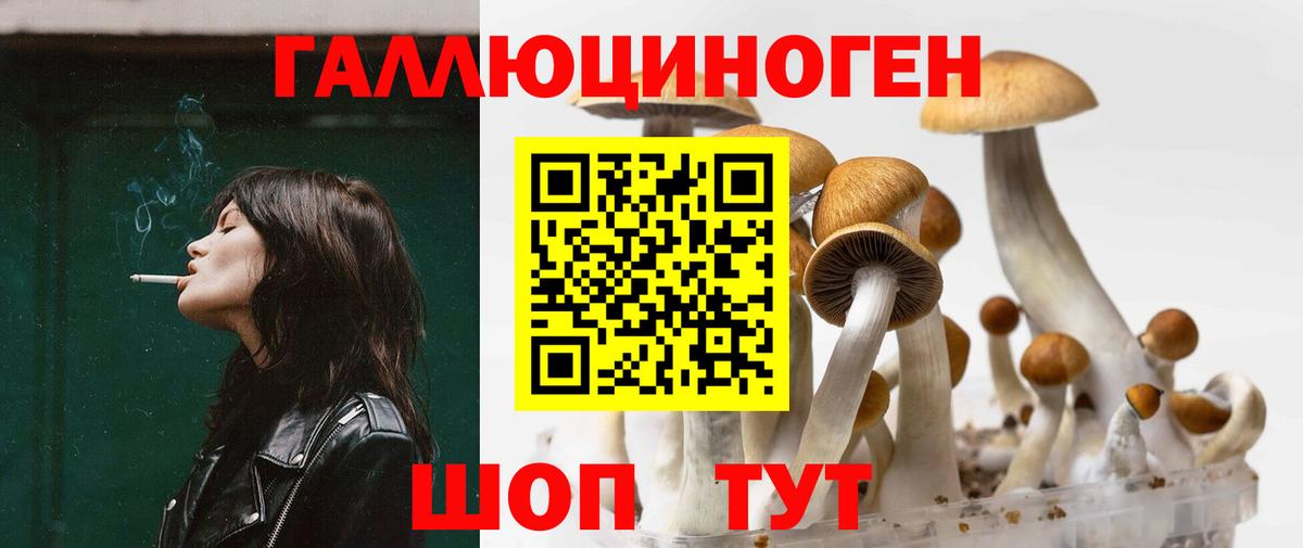 Гусиноозёрск  Галлюциногенные грибы прущие грибы  Вход с VPN  Псилоцибиновые грибы MAGIC MUSHROOMS 